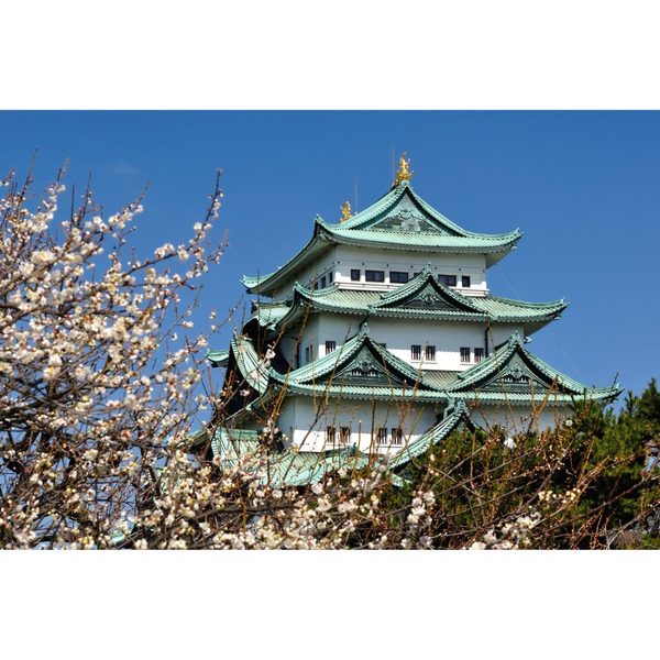 名古屋エリア